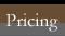 limo tours